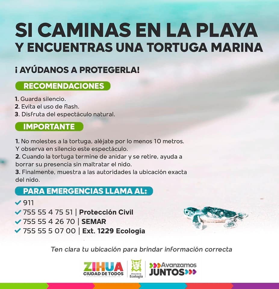 Ay�danos a proteger las tortugas